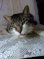 ファイル 833-2.jpg