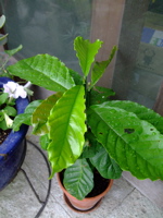 ファイル 835-2.jpg