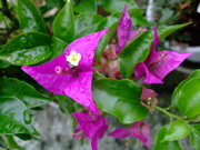 ファイル 840-1.jpg