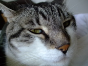 ファイル 841-1.jpg