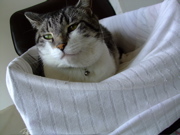 ファイル 841-2.jpg