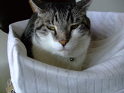 ファイル 841-3.jpg