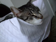 ファイル 841-4.jpg