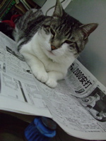 ファイル 848-1.jpg