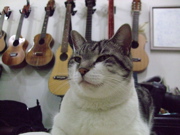 ファイル 870-1.jpg