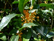 ファイル 874-1.jpg