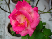 ファイル 877-4.jpg