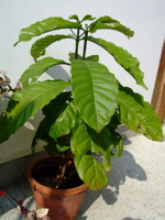 ファイル 879-1.jpg