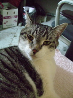 ファイル 881-1.jpg