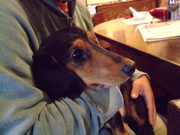 ファイル 887-2.jpg