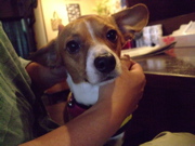 ファイル 887-3.jpg