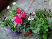 ファイル 889-1.jpg