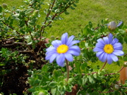 ファイル 892-1.jpg