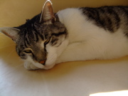 ファイル 893-1.jpg