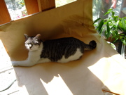 ファイル 893-2.jpg