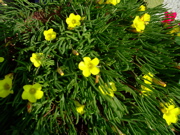 ファイル 894-1.jpg