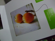 ファイル 899-2.jpg