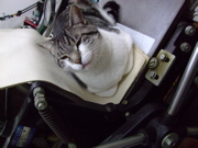 ファイル 908-1.jpg