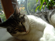 ファイル 917-1.jpg