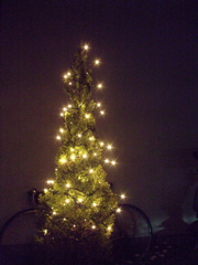 ファイル 919-1.jpg