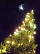 ファイル 925-1.jpg