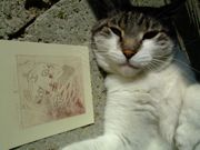 ファイル 933-2.jpg