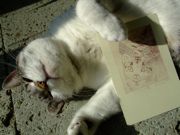 ファイル 933-3.jpg