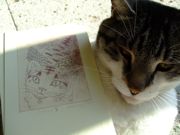 ファイル 933-4.jpg