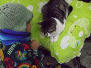 ファイル 943-2.jpg