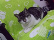 ファイル 943-3.jpg