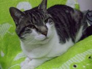 ファイル 943-4.jpg