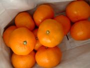 ファイル 949-1.jpg