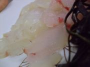 ファイル 950-2.jpg