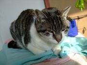 ファイル 960-1.jpg