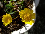 ファイル 961-1.jpg