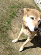 ファイル 962-1.jpg