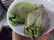 ファイル 970-1.jpg