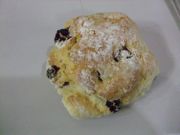 ファイル 976-1.jpg