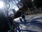 ファイル 977-1.jpg