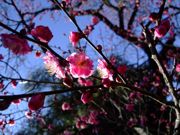 ファイル 977-4.jpg