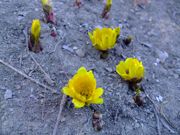 ファイル 977-5.jpg