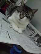 ファイル 983-1.jpg