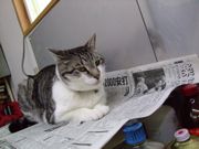 ファイル 983-4.jpg