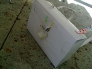 ファイル 993-1.jpg